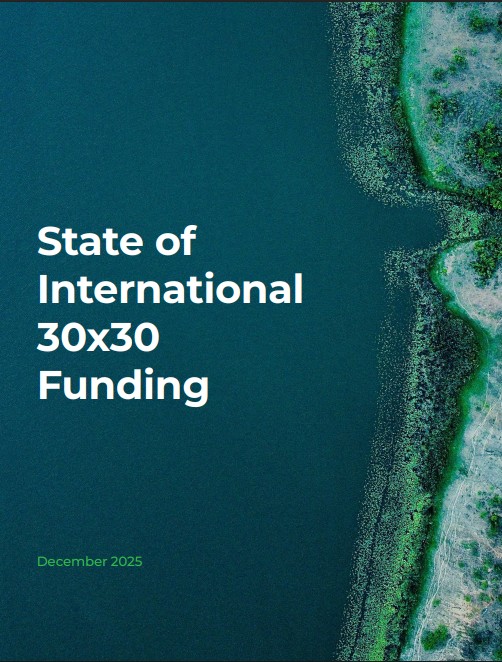 State of International 30×30 Funding