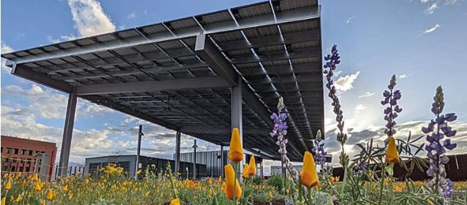 Climate change’s hidden price tag: A 12% drop in our present income