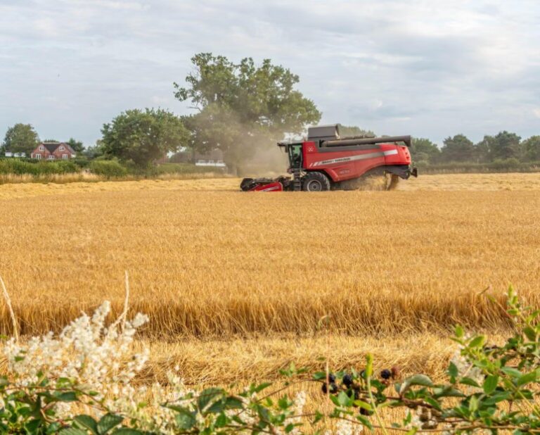 Food becoming more calorific but less nutritious due to rising carbon dioxide