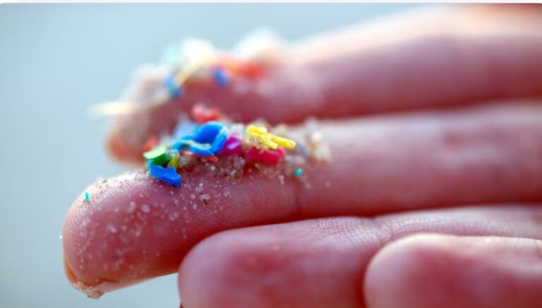Microplastics penetrating human brain, accelerating Alzheimer’s, Parkinson’s