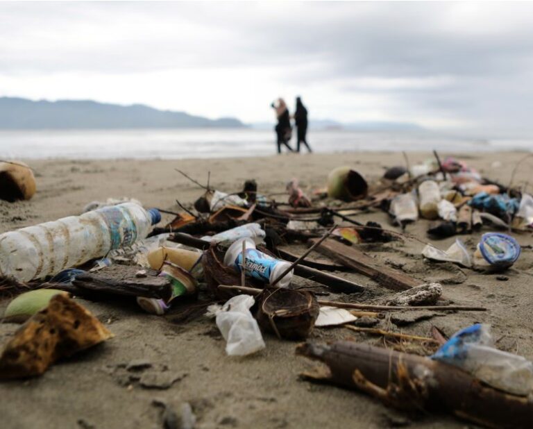 Reuse and return schemes could help eliminate plastic waste in 15 years – report