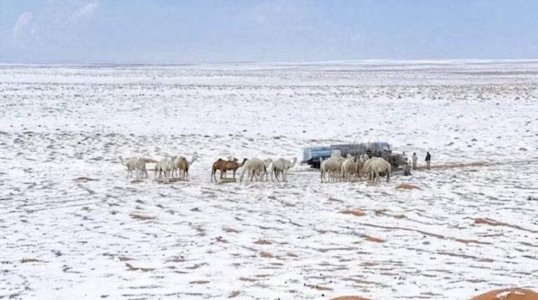 Saudi Arabia sees first snowfall in 30 years: Why is it snowing in the desert?