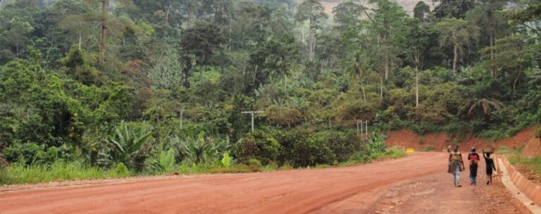 Ghana repeals legislation that opened forest reserves to mining