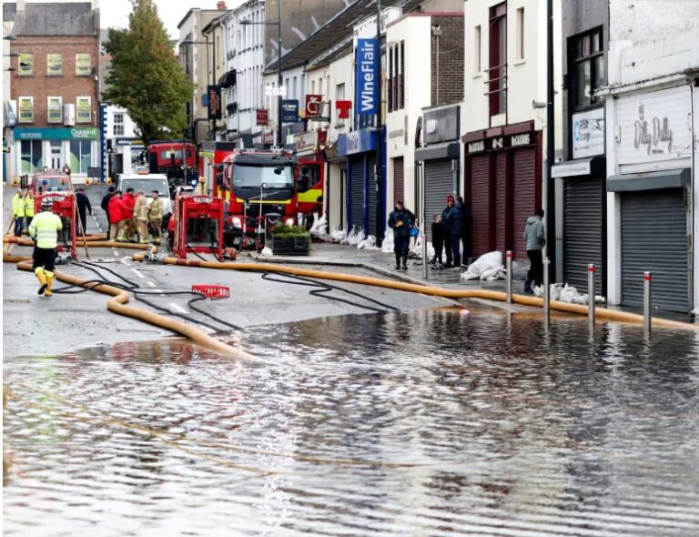 Wildlife targets will be missed in England and Northern Ireland, watchdog says