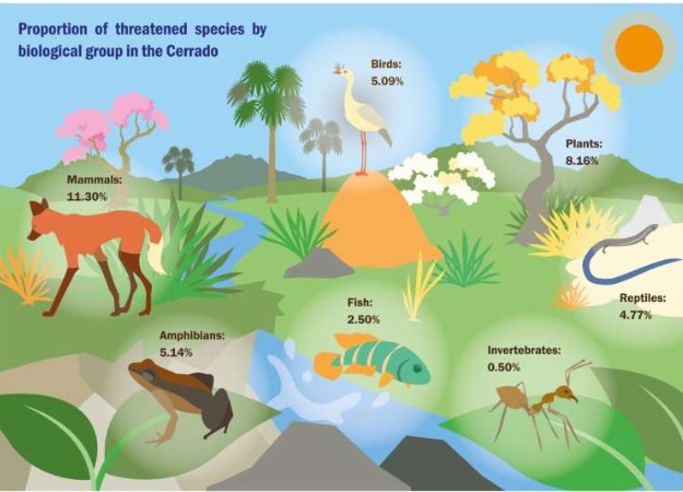 More than 55% of Cerrado native vegetation already lost, new review reveals