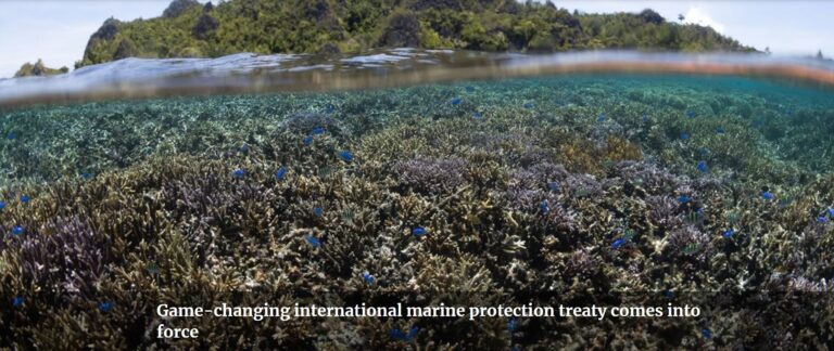 Game-changing international marine protection treaty comes into force