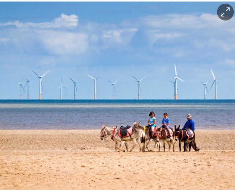 Offshore windfarm contracts to fuel 12m homes in Great Britain after record auction