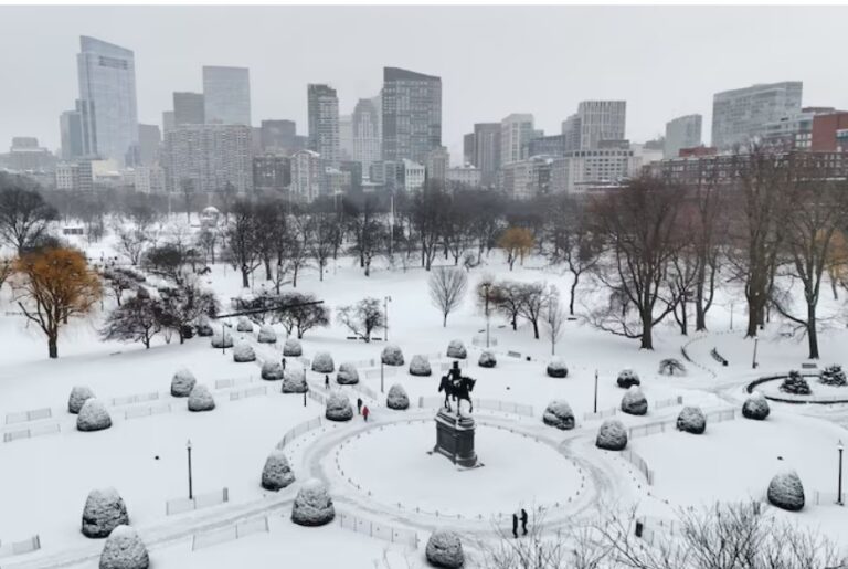 Winter storm to cause billions of dollars in insured losses, UBS estimates