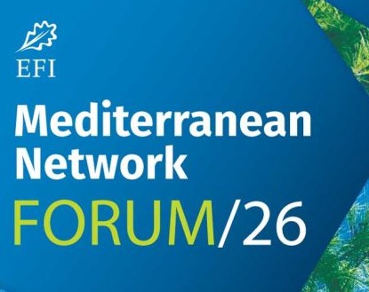 Mediterranean Network Forum