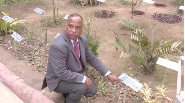 India’s first carbon garden built at DU: How it cleans air and restores soil