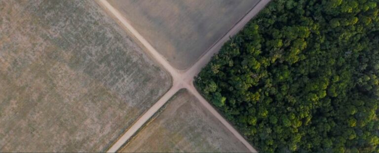 Amazon deforestation may rise 30% as major traders exit historic soy pact