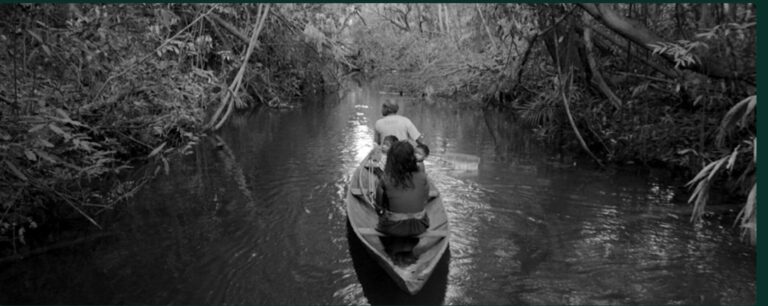 Malaria outbreak among Indigenous Pirahã linked to forest loss, satellite data find