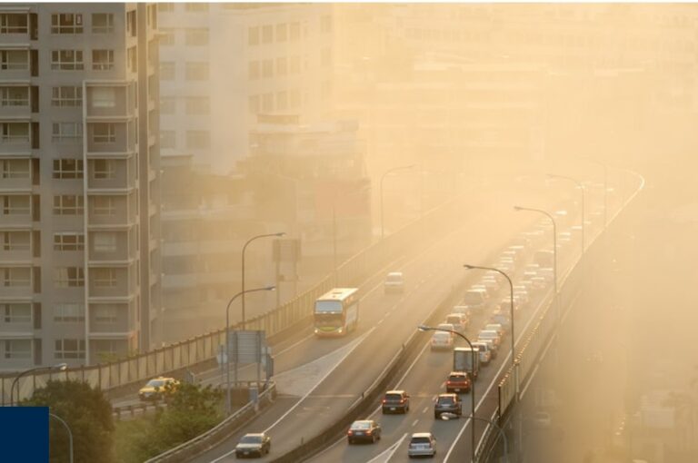 Tackling Air Pollution Could Deliver $220 Billion Economic Boost for India, Study Finds