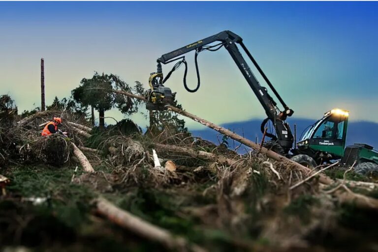 Landmark Study on Biodiversity Loss Takes Aim at Harmful Subsidies