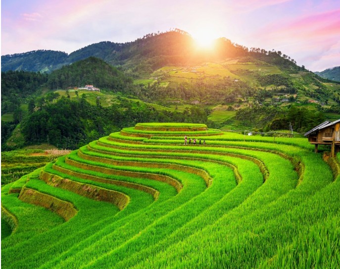Earth’s changing climate is harming crop diversity exactly where the security of global food production needs it most