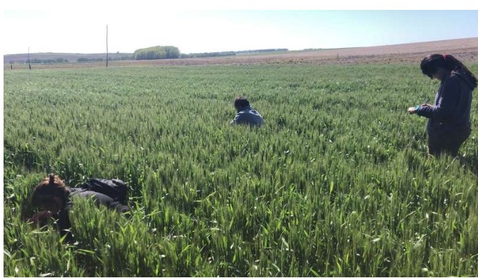 Increasing the share of organic farming leads to healthier, more diverse soils, international study finds
