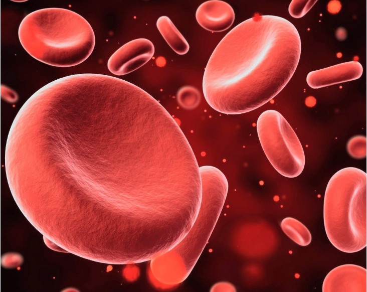 Rising carbon dioxide levels are now detectable in human blood