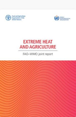 Extreme heat and agriculture