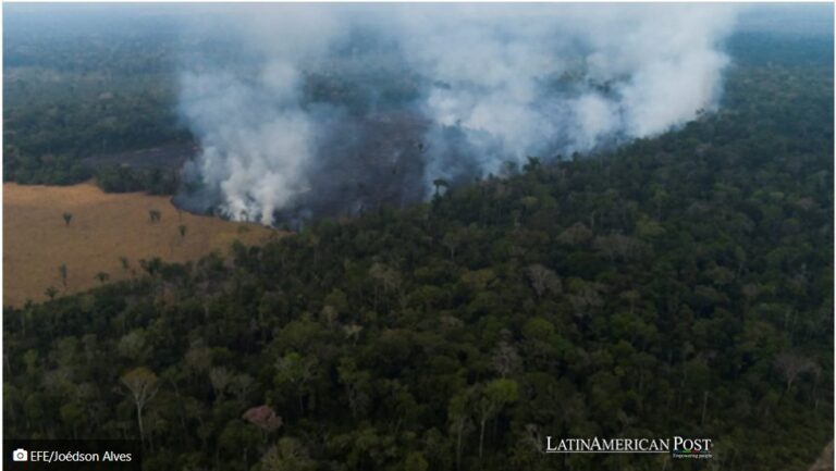 Brazil Turns Bankers Into Forest Guards as Amazon Politics Harden