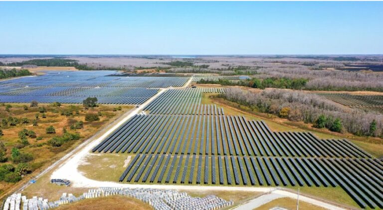Environmental Disaster Is Looming Thanks To “Renewable” Energy Sources
