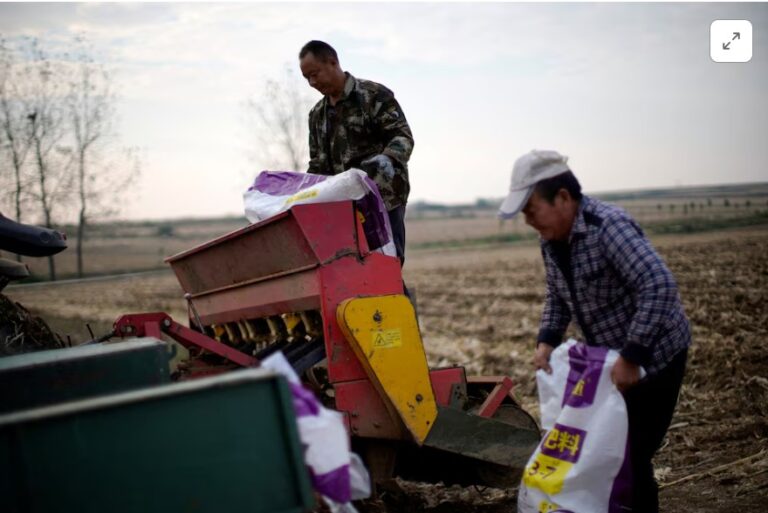 China’s coal-based urea insulates its farmers from global fertiliser turmoil