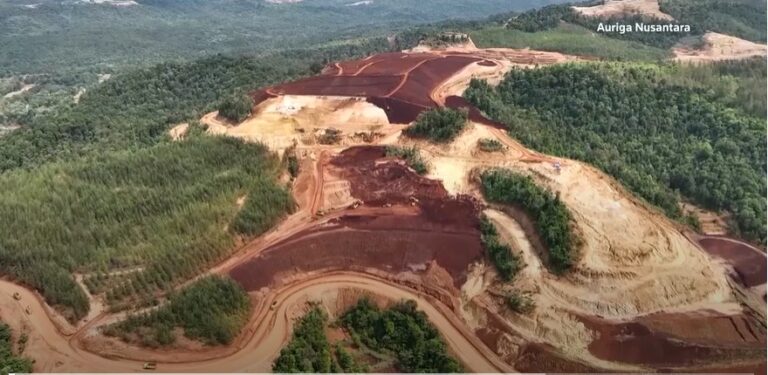 Indonesian forest loss surges by 66% in 2025, driven by Prabowo’s self-sufficiency drive, report shows