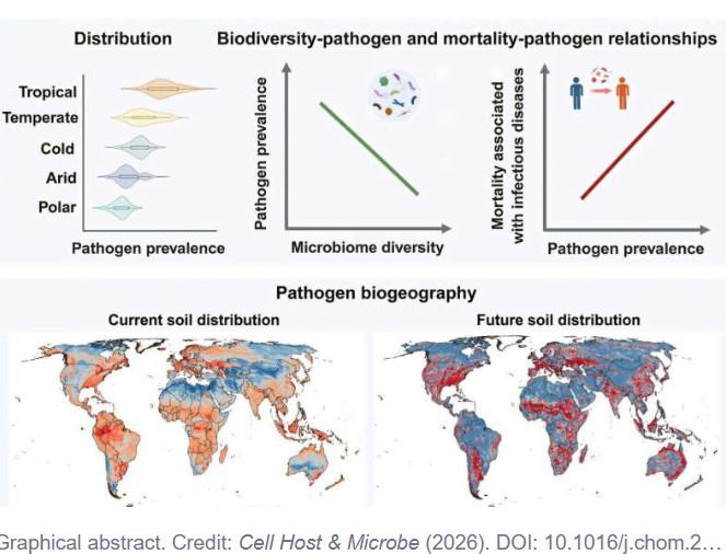 Soil biodiversity linked to lower human infectious disease risk