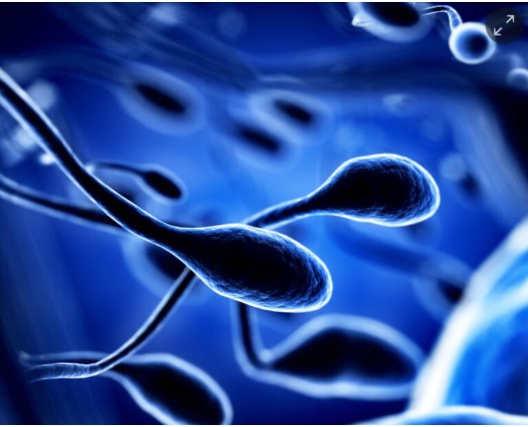 Toxins plus climate harms likely cause of reduced fertility, study finds