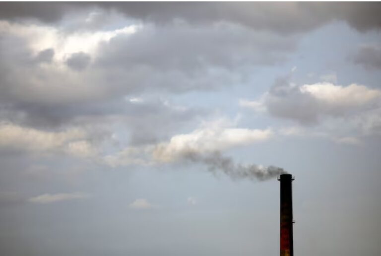 More companies committed to validated emission targets in 2025, SBTi reports