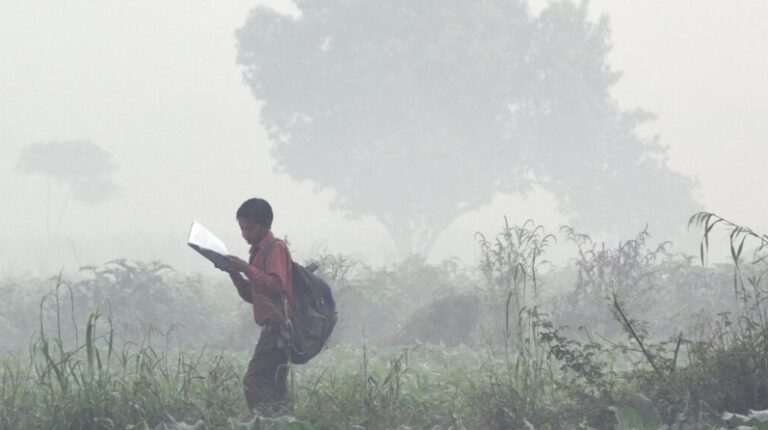 Researchers link long-term air pollution exposure to higher dementia risk