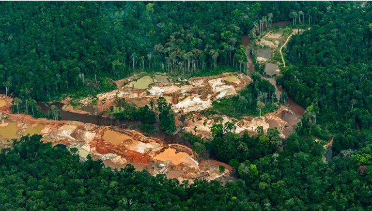 As warming and deforestation intensify, the Amazon could begin driving its own collapse, study warns