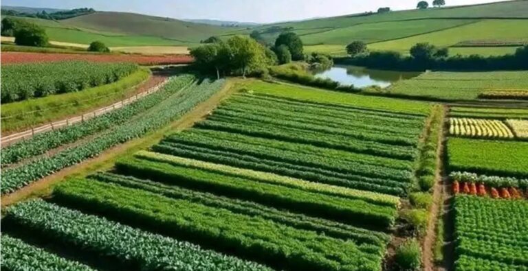 India Releases 2996 Climate-Resilient Crop Varieties, Establishes Climate-Resilient Villages Across 28 States To Tackle Extreme Weather Risks