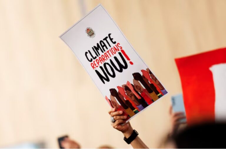 Wealthy countries’ climate finance hit record high in 2024, OECD says