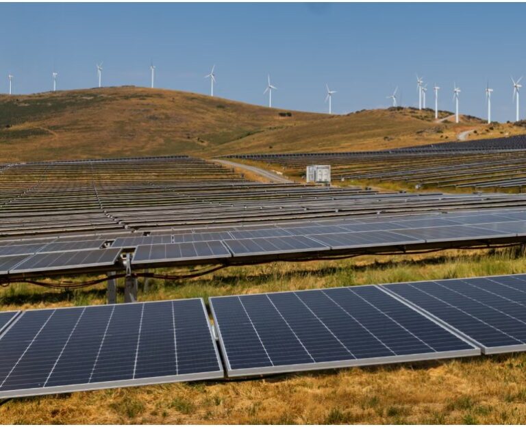 Spanish households save €10 a month thanks to renewables expansion, report finds