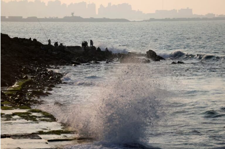 Antibiotic resistance genes found across world oceans, Italian study shows