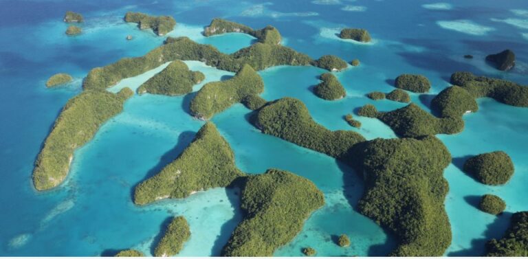 Billionaire to invest in ocean protection as UK and US scale back funding