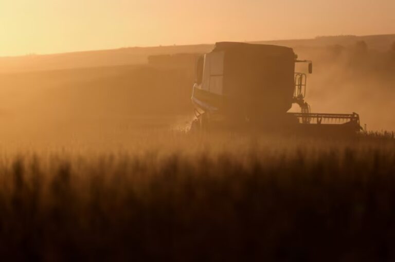 Brazil farm auctions explode as rural debt spirals in a changing climate