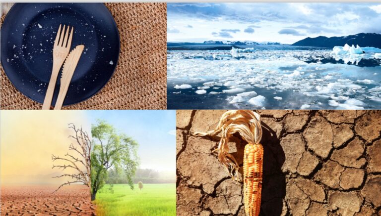 Climate change emerges as biggest threat to global food security