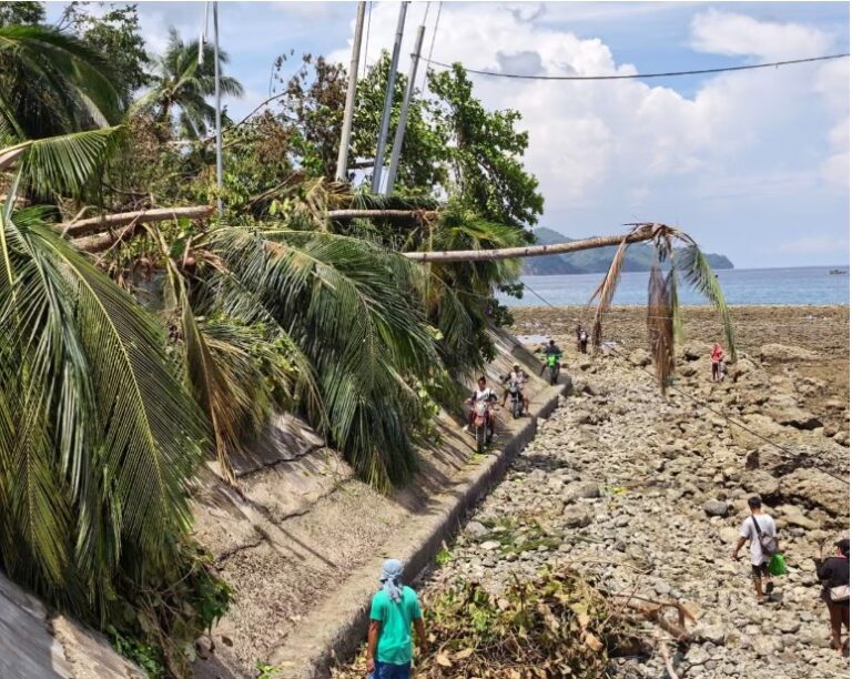 Deadly Philippines earthquake found to have raised seabed by up to 2 metres