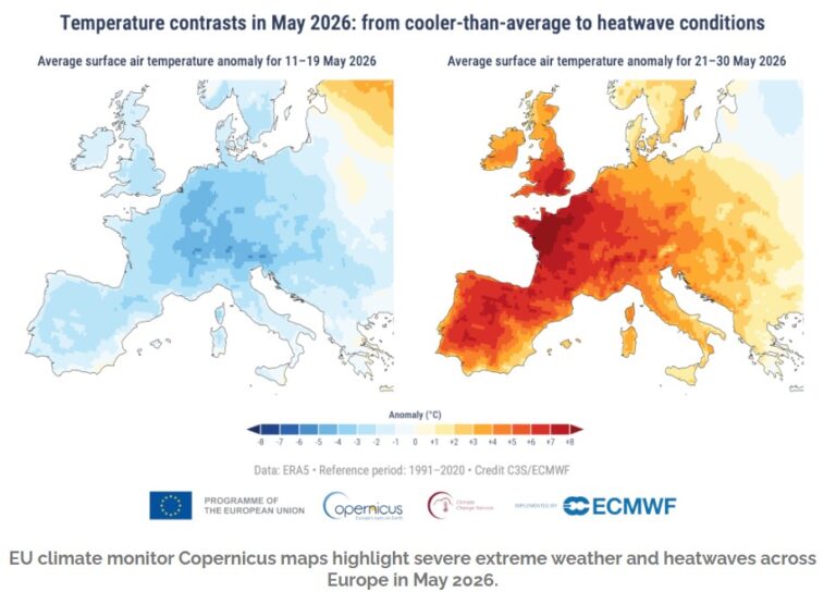 As Extreme Heat Deaths Mount in Europe, WHO Urges Urban Redesign