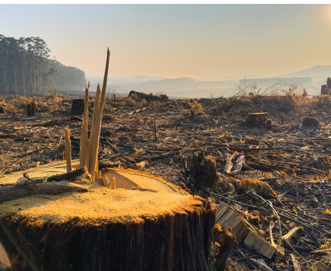 Multinational companies are leaving a hidden environmental scar across Africa