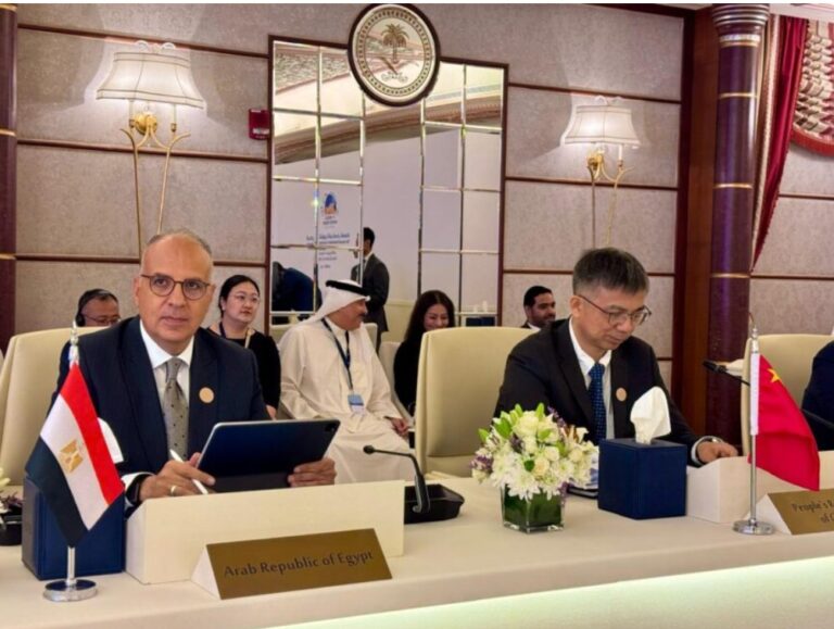 Egypt calls for global partnership on non-conventional water