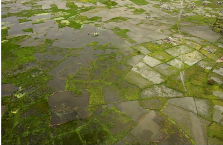 Africa facing $10-$20 billion economic hit from ‘super’ El Niño, AfDB climate chief warns