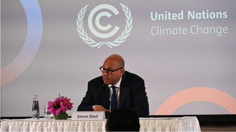 It is time for reform in COP negotiation methods: UN