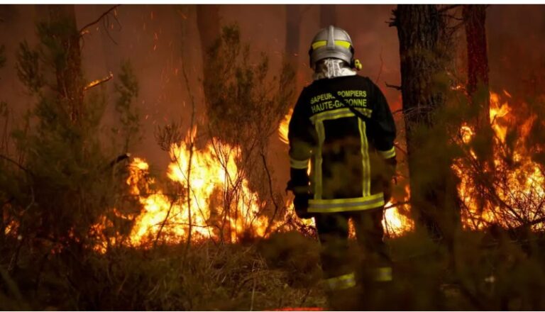 Climate change made France, Spain wildfire conditions far more likely, scientists say