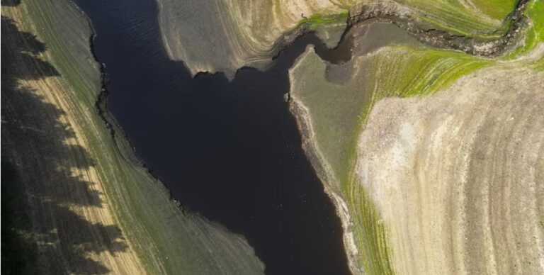 Drought declared across half of England after hot, dry weather