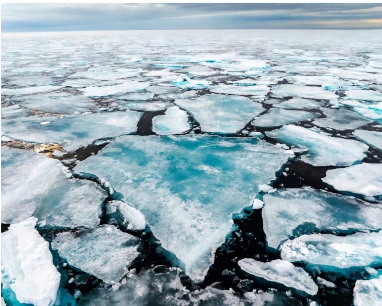 Slowdown in Arctic ice melt ends after largest winter decline on record