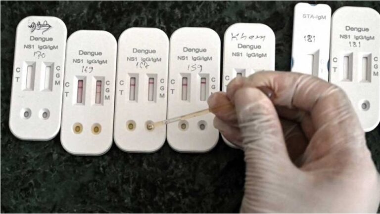 Expert warns of tougher fight vs infectious diseases amid climate change