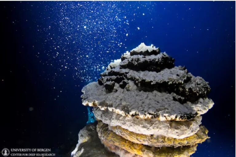 Deep-sea mining threatens molluscs holding promise for science, Red List shows