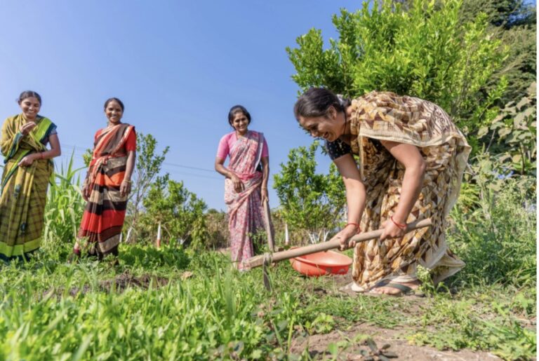 In India’s Mountains, Climate Change Is Rewriting the Map of Disease